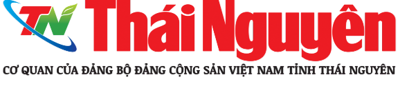 Trang chủ 181 thai nguyen
